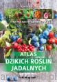 Atlas dzikich roślin jadalnych. 150 polskich gatunków.jpg