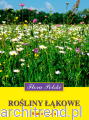 Rośliny łąkowe. Flora Polski.png