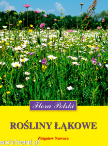 Rośliny łąkowe. Flora Polski