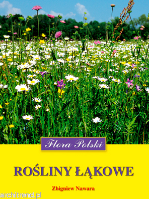 Rośliny łąkowe. Flora Polski.png
