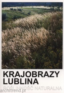 Krajobrazy Lublina Roślinność naturalna w miastach