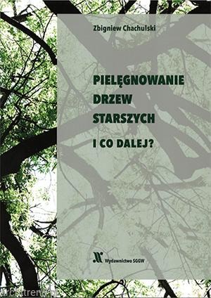 piel.jpg