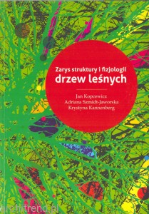 Zarys struktury i fizjologii drzew leśnych
