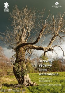 Drzewa sędziwe i inne weterańskie. Wytyczne do zarządzania