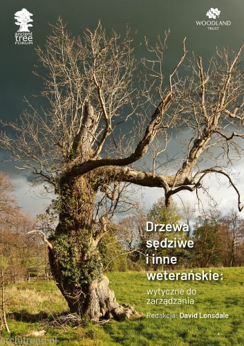 drzewa sędziwe.jpg